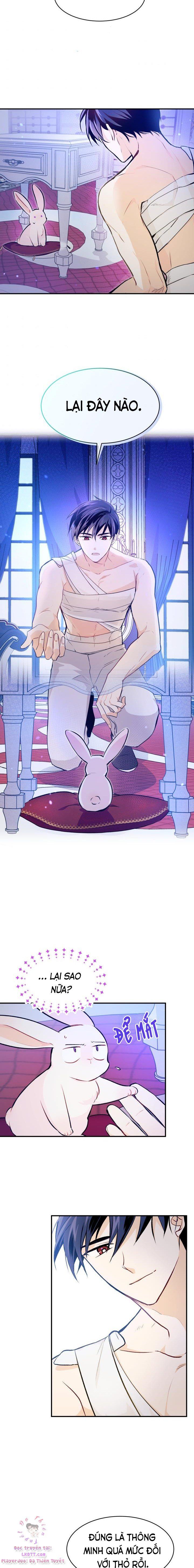 đọc truyện Mối Quan Hệ Cộng Sinh Giữa Báo Đen Và Thỏ Trắng Chương 4 ảnh 14 tại Thiên Thai Truyện