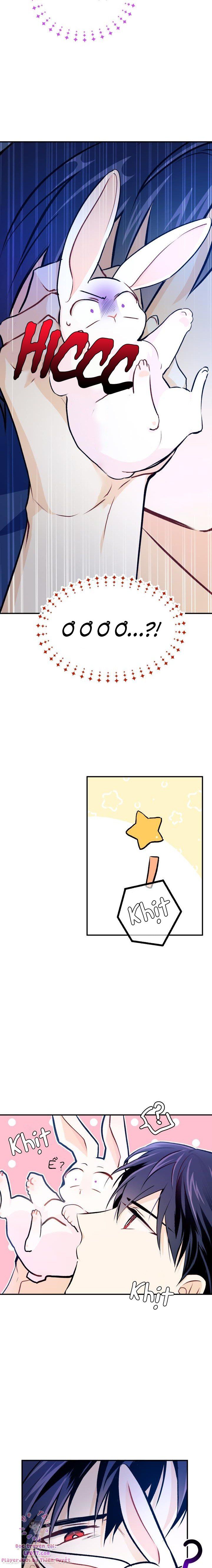 đọc truyện Mối Quan Hệ Cộng Sinh Giữa Báo Đen Và Thỏ Trắng Chương 4 ảnh 20 tại Thiên Thai Truyện