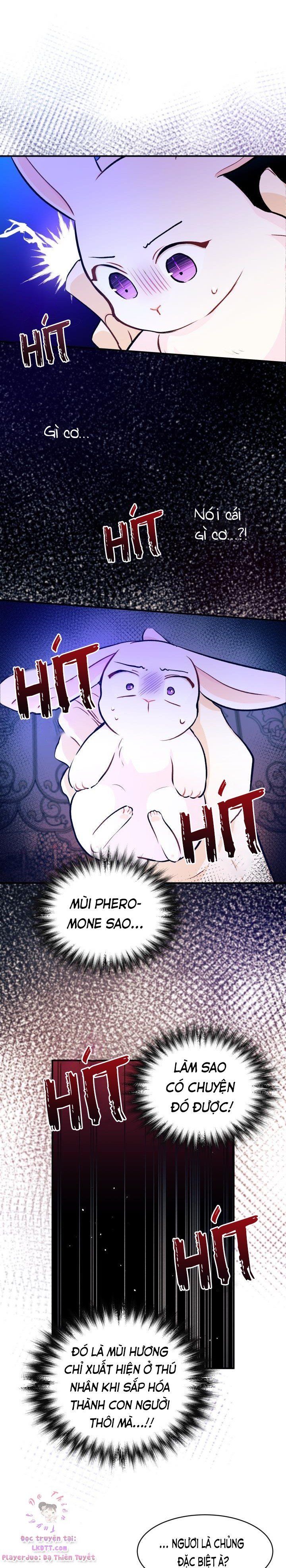 đọc truyện Mối Quan Hệ Cộng Sinh Giữa Báo Đen Và Thỏ Trắng Chương 4 ảnh 22 tại Thiên Thai Truyện