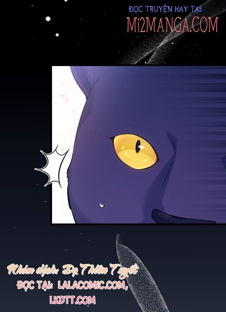 đọc truyện Mối Quan Hệ Cộng Sinh Giữa Báo Đen Và Thỏ Trắng Chương 40.5 ảnh 39 tại Thiên Thai Truyện