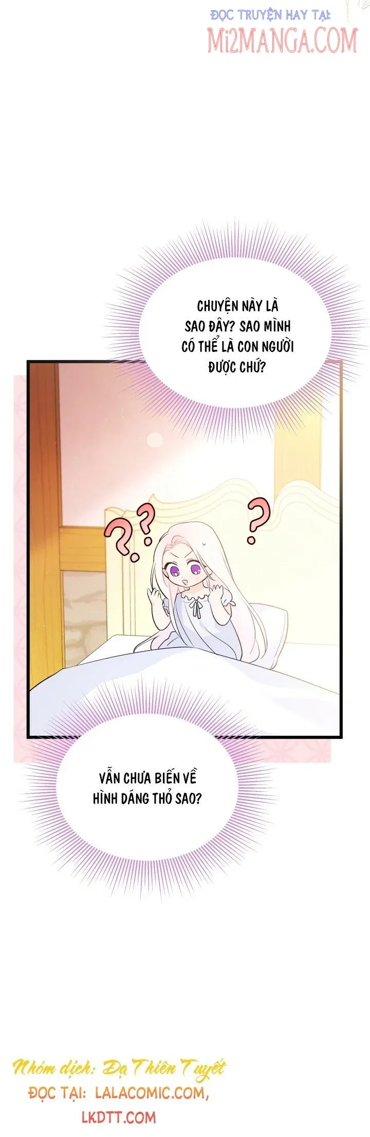 đọc truyện Mối Quan Hệ Cộng Sinh Giữa Báo Đen Và Thỏ Trắng Chương 41 ảnh 20 tại Thiên Thai Truyện