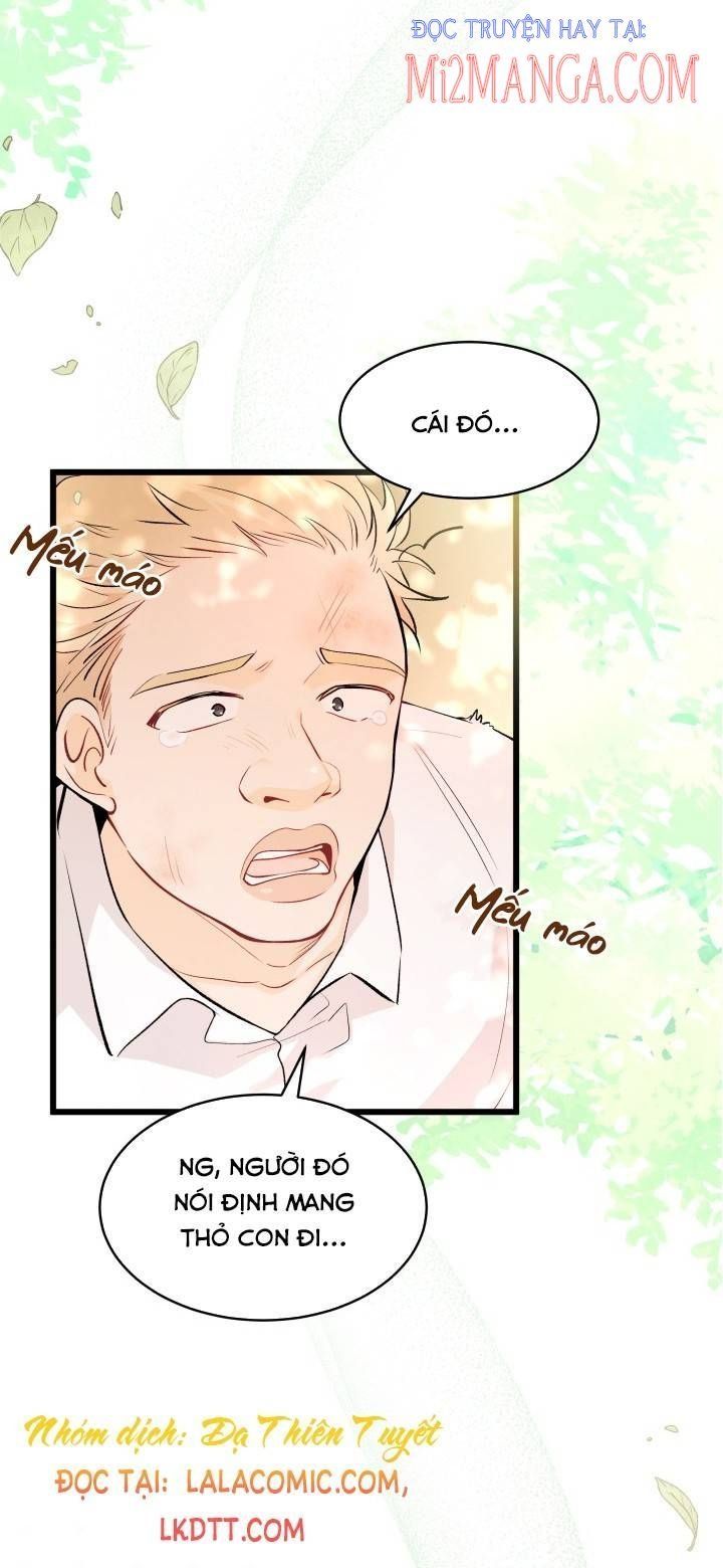 đọc truyện Mối Quan Hệ Cộng Sinh Giữa Báo Đen Và Thỏ Trắng Chương 42 ảnh 34 tại Thiên Thai Truyện