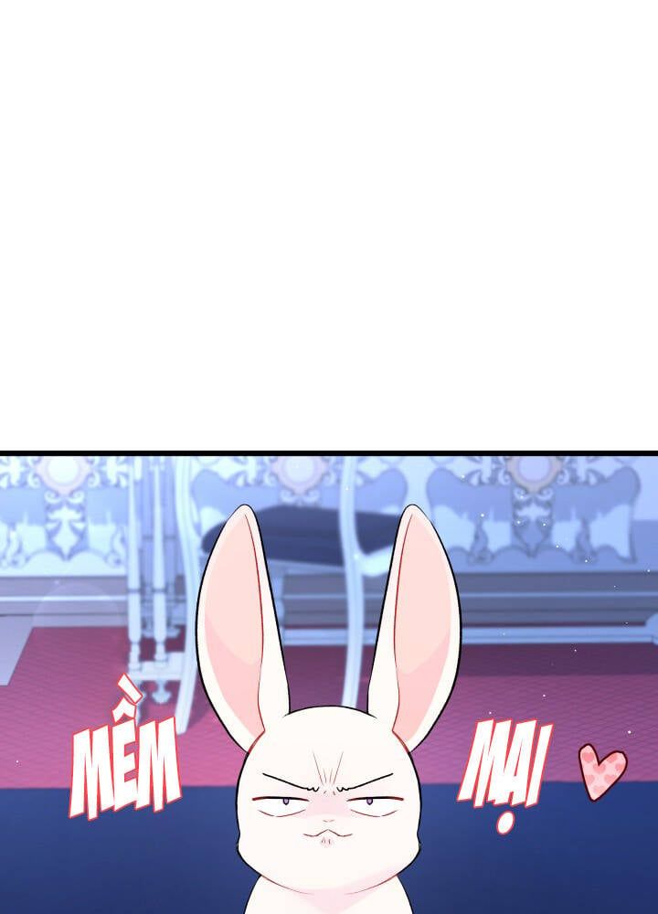 đọc truyện Mối Quan Hệ Cộng Sinh Giữa Báo Đen Và Thỏ Trắng Chương 46 ảnh 62 tại Thiên Thai Truyện