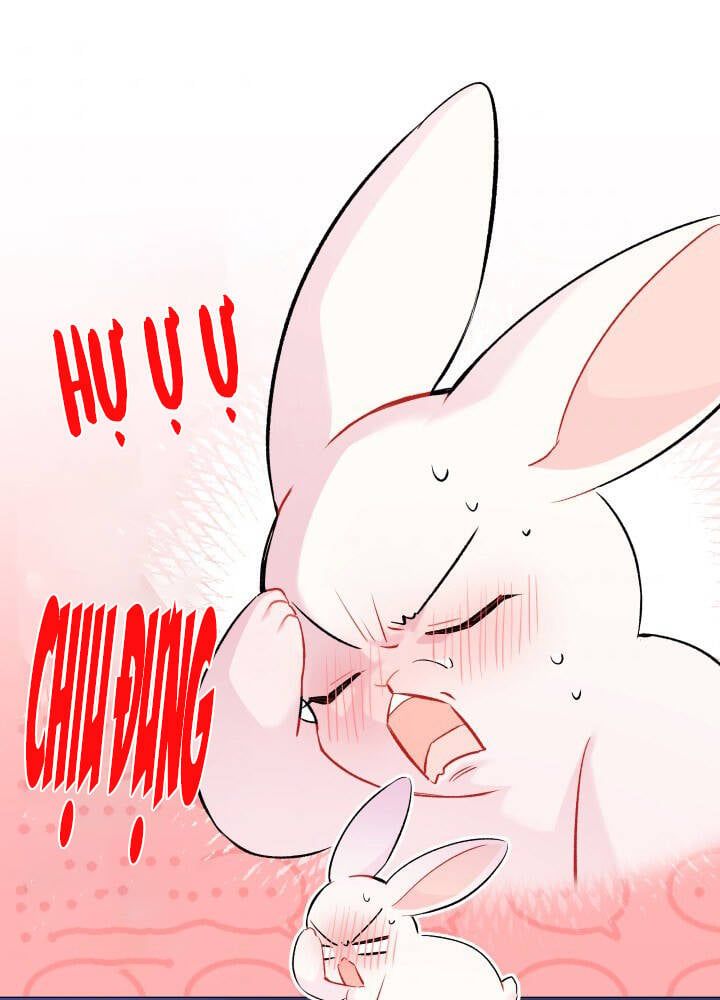 đọc truyện Mối Quan Hệ Cộng Sinh Giữa Báo Đen Và Thỏ Trắng Chương 46 ảnh 65 tại Thiên Thai Truyện