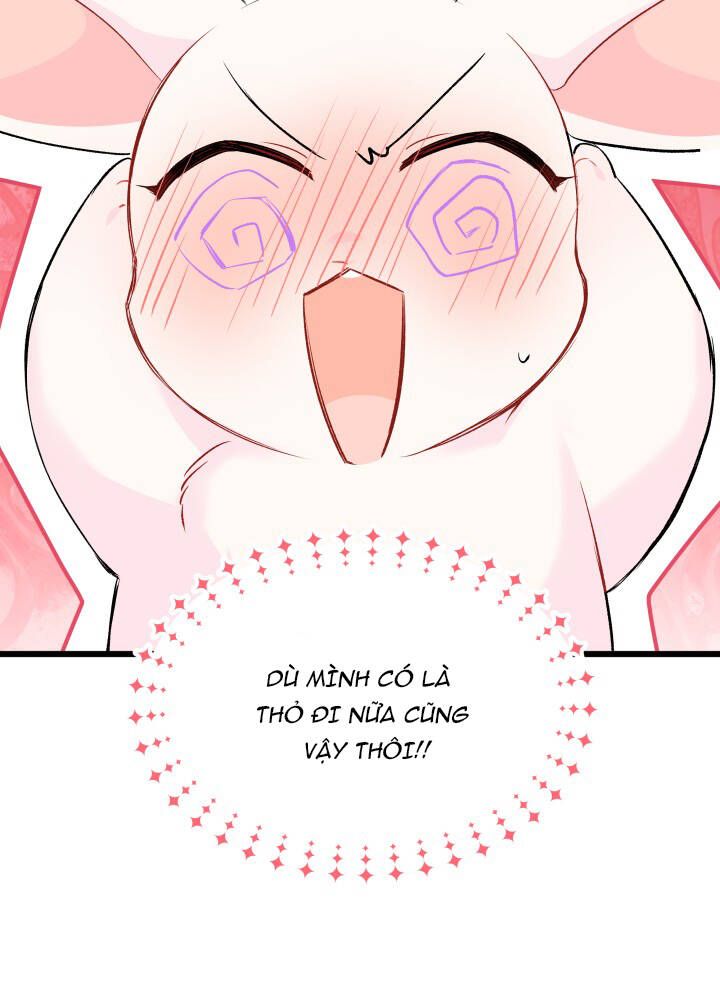 đọc truyện Mối Quan Hệ Cộng Sinh Giữa Báo Đen Và Thỏ Trắng Chương 46 ảnh 74 tại Thiên Thai Truyện