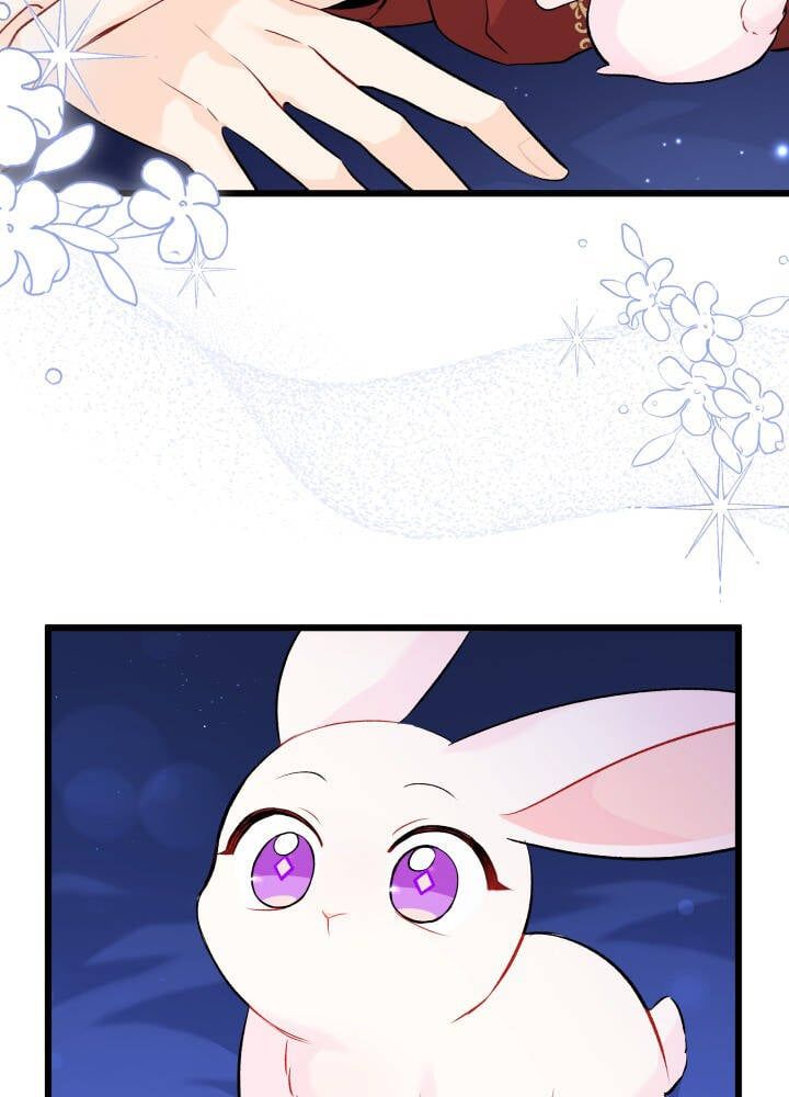 đọc truyện Mối Quan Hệ Cộng Sinh Giữa Báo Đen Và Thỏ Trắng Chương 46 ảnh 88 tại Thiên Thai Truyện