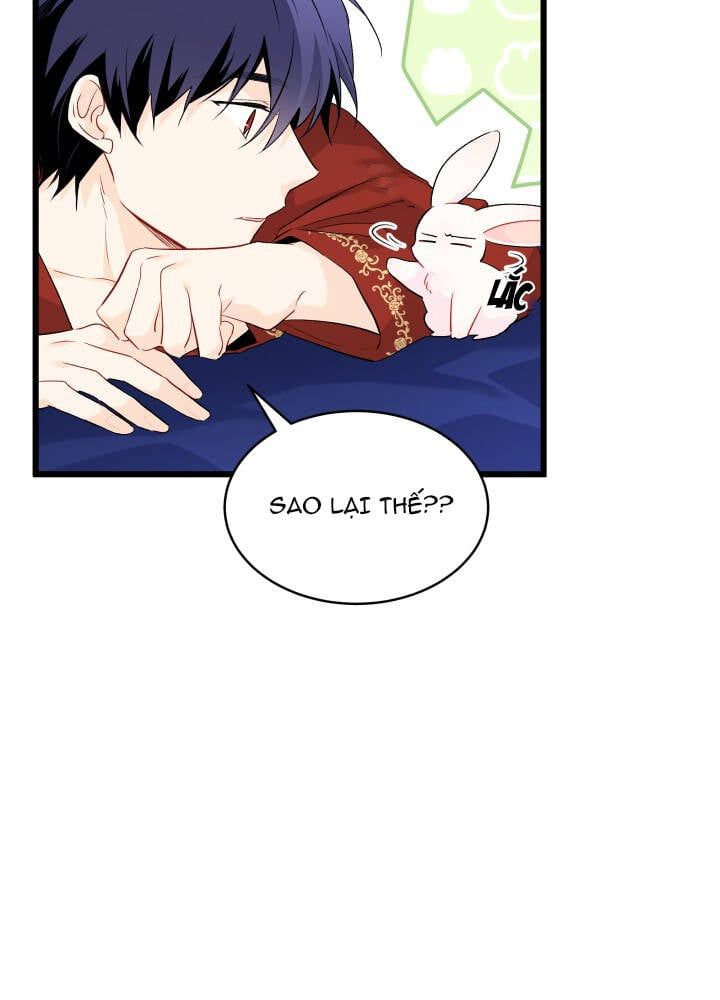 đọc truyện Mối Quan Hệ Cộng Sinh Giữa Báo Đen Và Thỏ Trắng Chương 46 ảnh 90 tại Thiên Thai Truyện