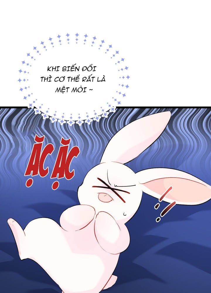 đọc truyện Mối Quan Hệ Cộng Sinh Giữa Báo Đen Và Thỏ Trắng Chương 46 ảnh 91 tại Thiên Thai Truyện