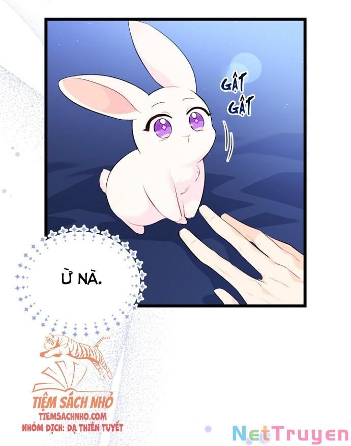 đọc truyện Mối Quan Hệ Cộng Sinh Giữa Báo Đen Và Thỏ Trắng Chương 47 ảnh 12 tại Thiên Thai Truyện