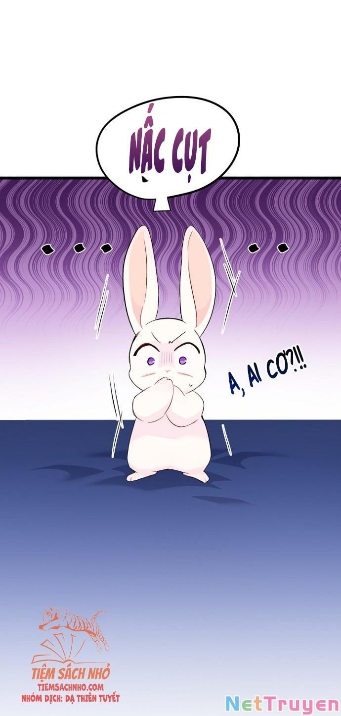 đọc truyện Mối Quan Hệ Cộng Sinh Giữa Báo Đen Và Thỏ Trắng Chương 47 ảnh 17 tại Thiên Thai Truyện