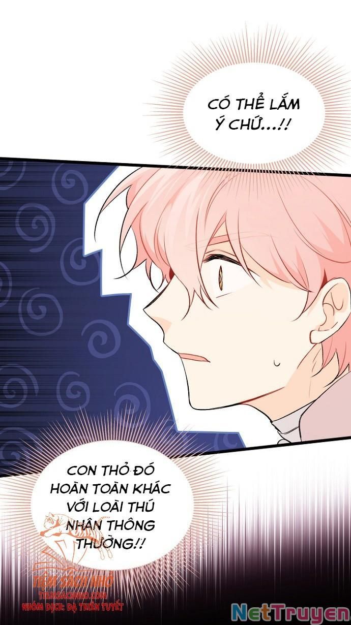 đọc truyện Mối Quan Hệ Cộng Sinh Giữa Báo Đen Và Thỏ Trắng Chương 47 ảnh 34 tại Thiên Thai Truyện