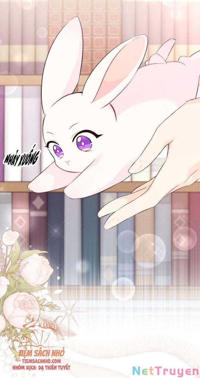 đọc truyện Mối Quan Hệ Cộng Sinh Giữa Báo Đen Và Thỏ Trắng Chương 47 ảnh 50 tại Thiên Thai Truyện