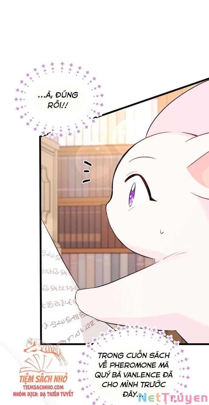 đọc truyện Mối Quan Hệ Cộng Sinh Giữa Báo Đen Và Thỏ Trắng Chương 47 ảnh 67 tại Thiên Thai Truyện