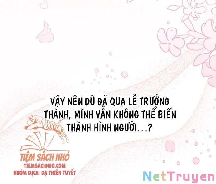 đọc truyện Mối Quan Hệ Cộng Sinh Giữa Báo Đen Và Thỏ Trắng Chương 47 ảnh 70 tại Thiên Thai Truyện