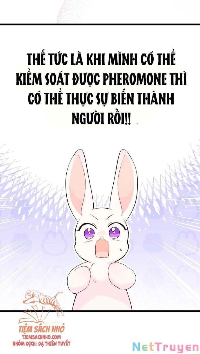 đọc truyện Mối Quan Hệ Cộng Sinh Giữa Báo Đen Và Thỏ Trắng Chương 47 ảnh 71 tại Thiên Thai Truyện