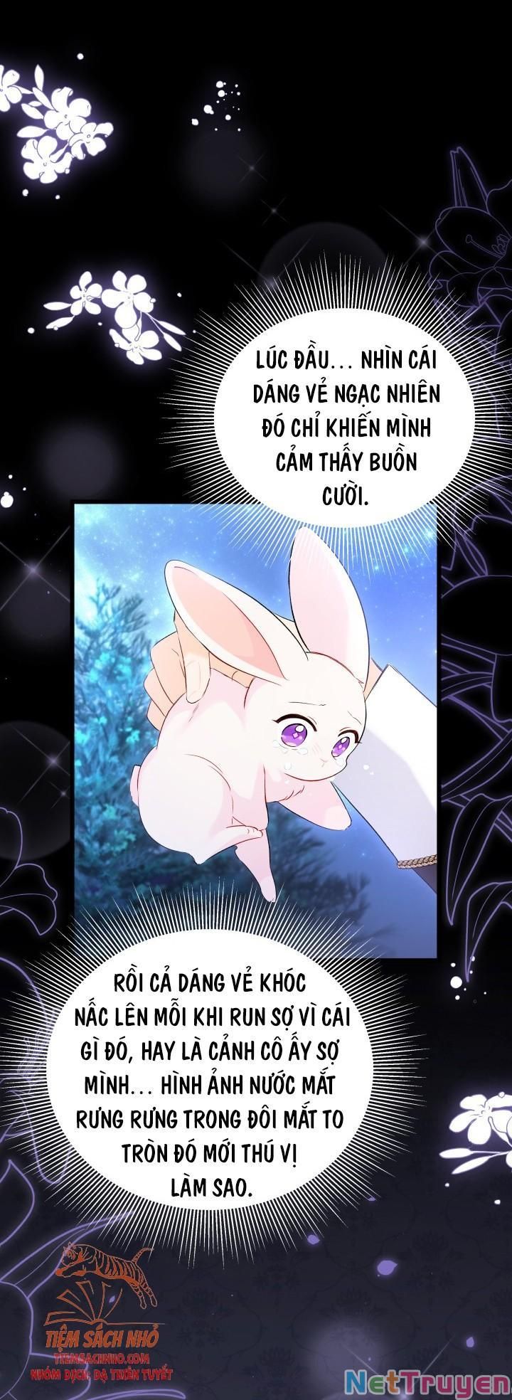 đọc truyện Mối Quan Hệ Cộng Sinh Giữa Báo Đen Và Thỏ Trắng Chương 48 ảnh 14 tại Thiên Thai Truyện