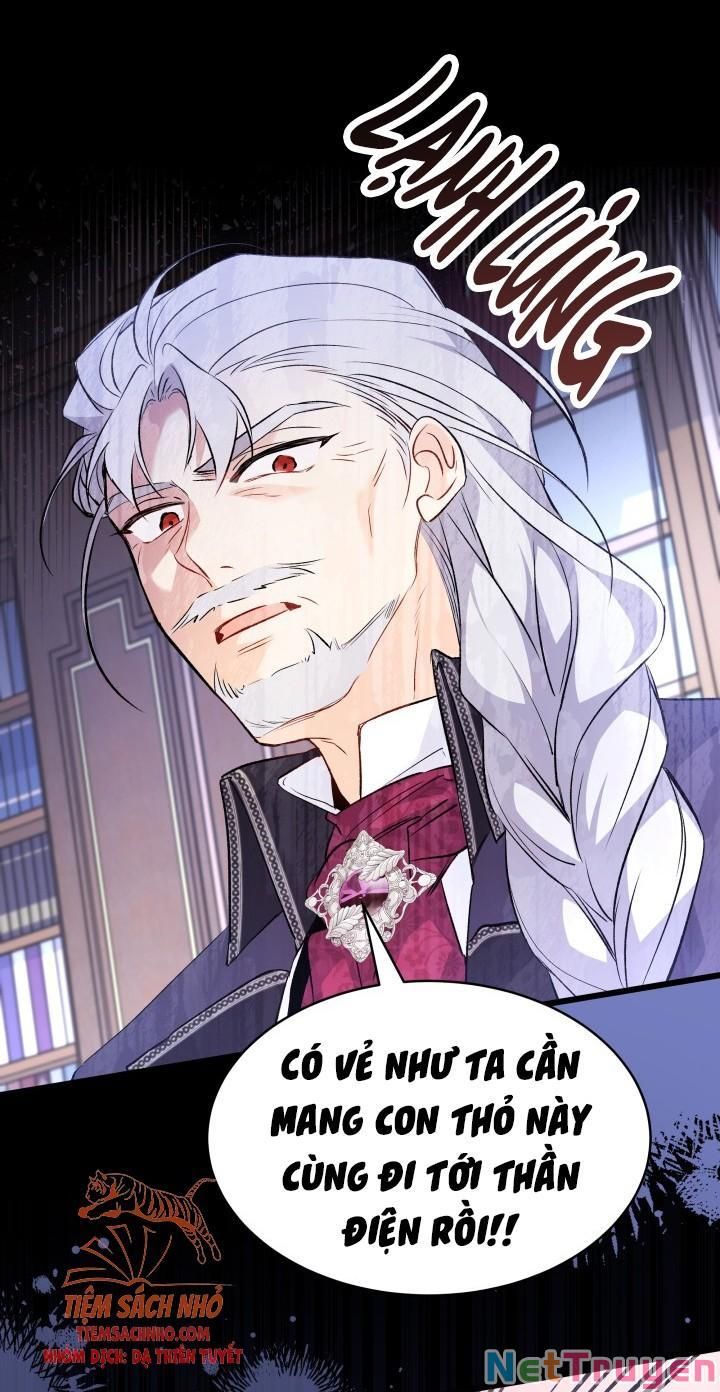 đọc truyện Mối Quan Hệ Cộng Sinh Giữa Báo Đen Và Thỏ Trắng Chương 48 ảnh 54 tại Thiên Thai Truyện