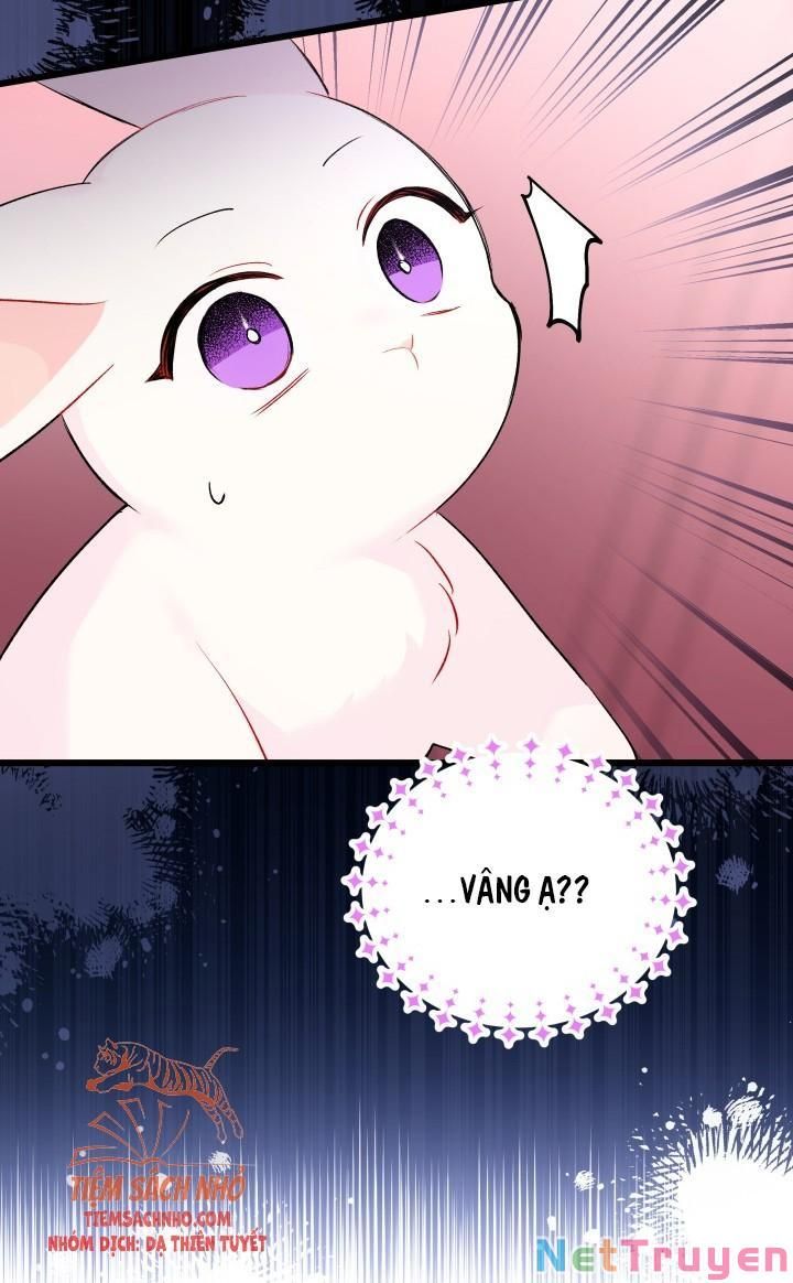 đọc truyện Mối Quan Hệ Cộng Sinh Giữa Báo Đen Và Thỏ Trắng Chương 48 ảnh 55 tại Thiên Thai Truyện