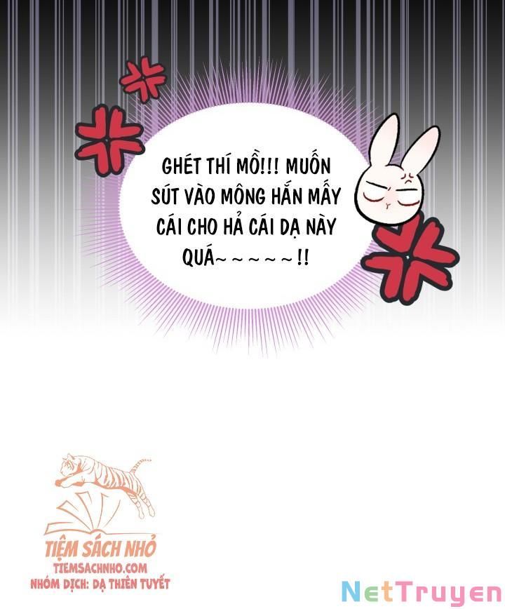 đọc truyện Mối Quan Hệ Cộng Sinh Giữa Báo Đen Và Thỏ Trắng Chương 49 ảnh 14 tại Thiên Thai Truyện