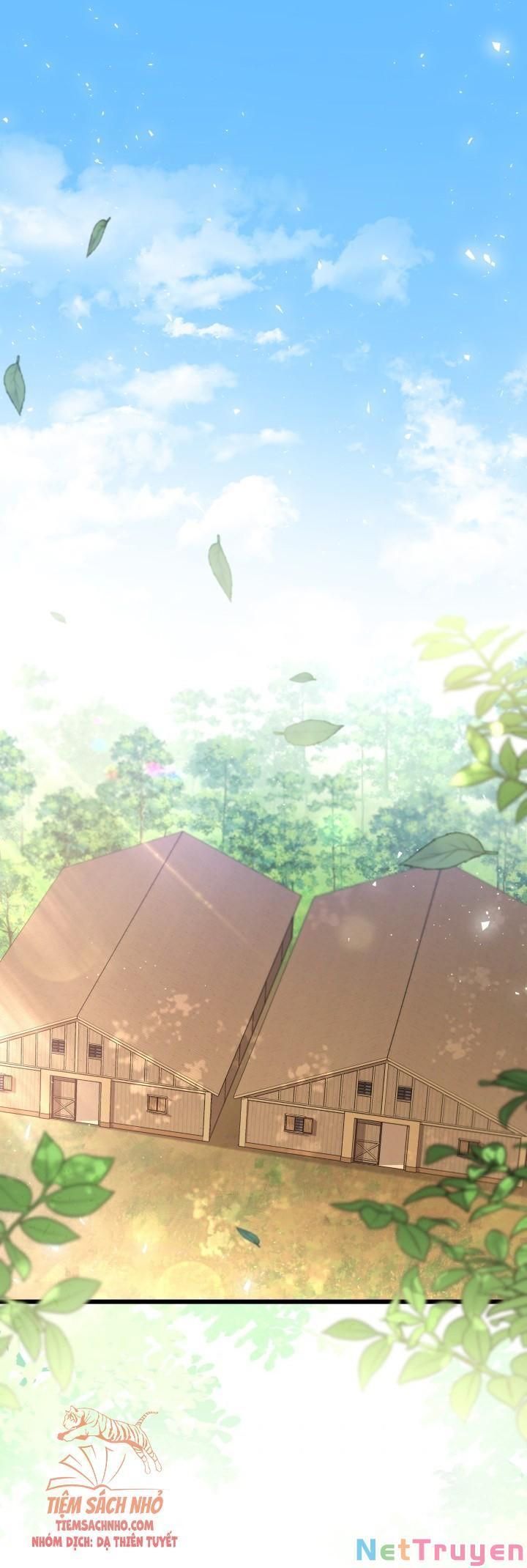 đọc truyện Mối Quan Hệ Cộng Sinh Giữa Báo Đen Và Thỏ Trắng Chương 49 ảnh 4 tại Thiên Thai Truyện