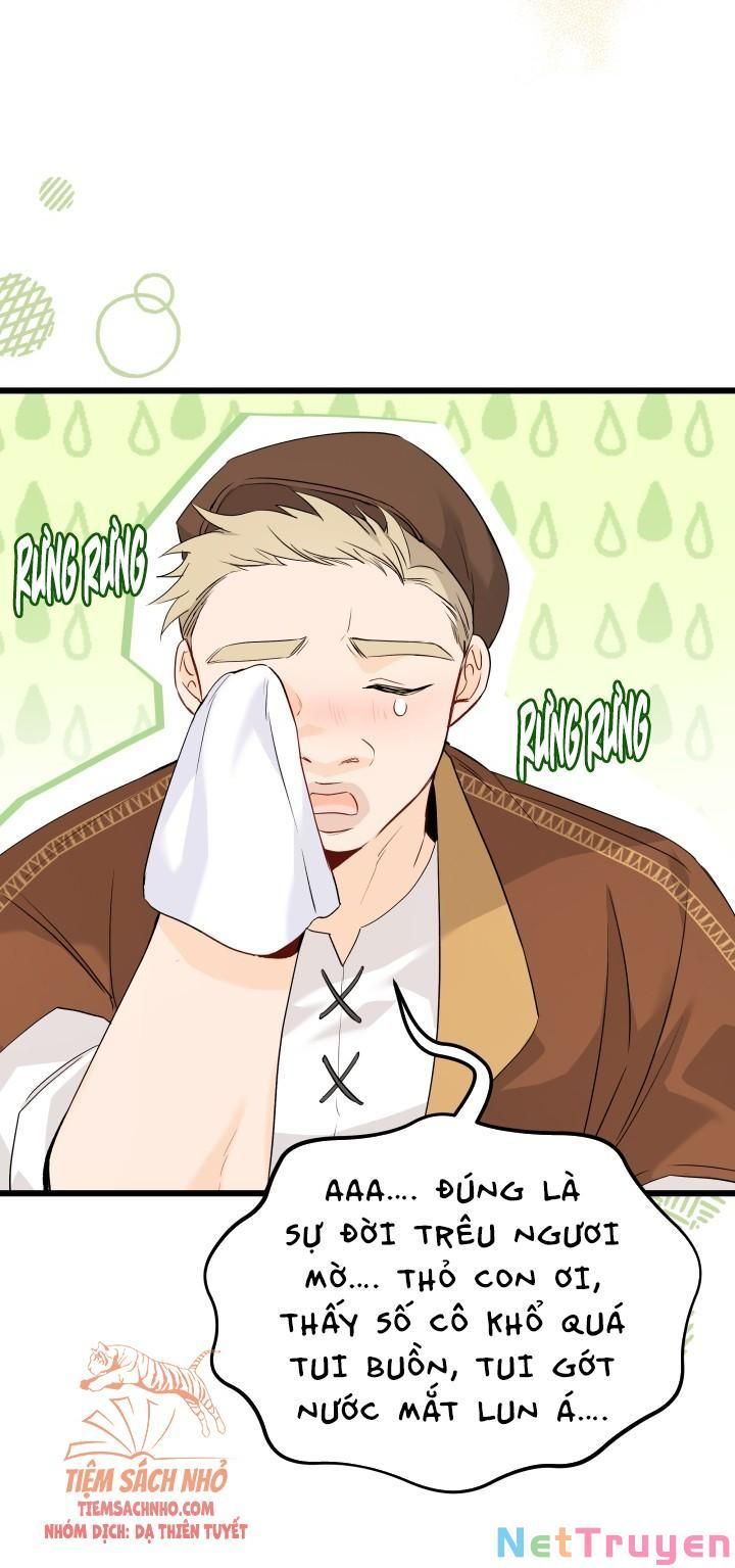 đọc truyện Mối Quan Hệ Cộng Sinh Giữa Báo Đen Và Thỏ Trắng Chương 49 ảnh 34 tại Thiên Thai Truyện