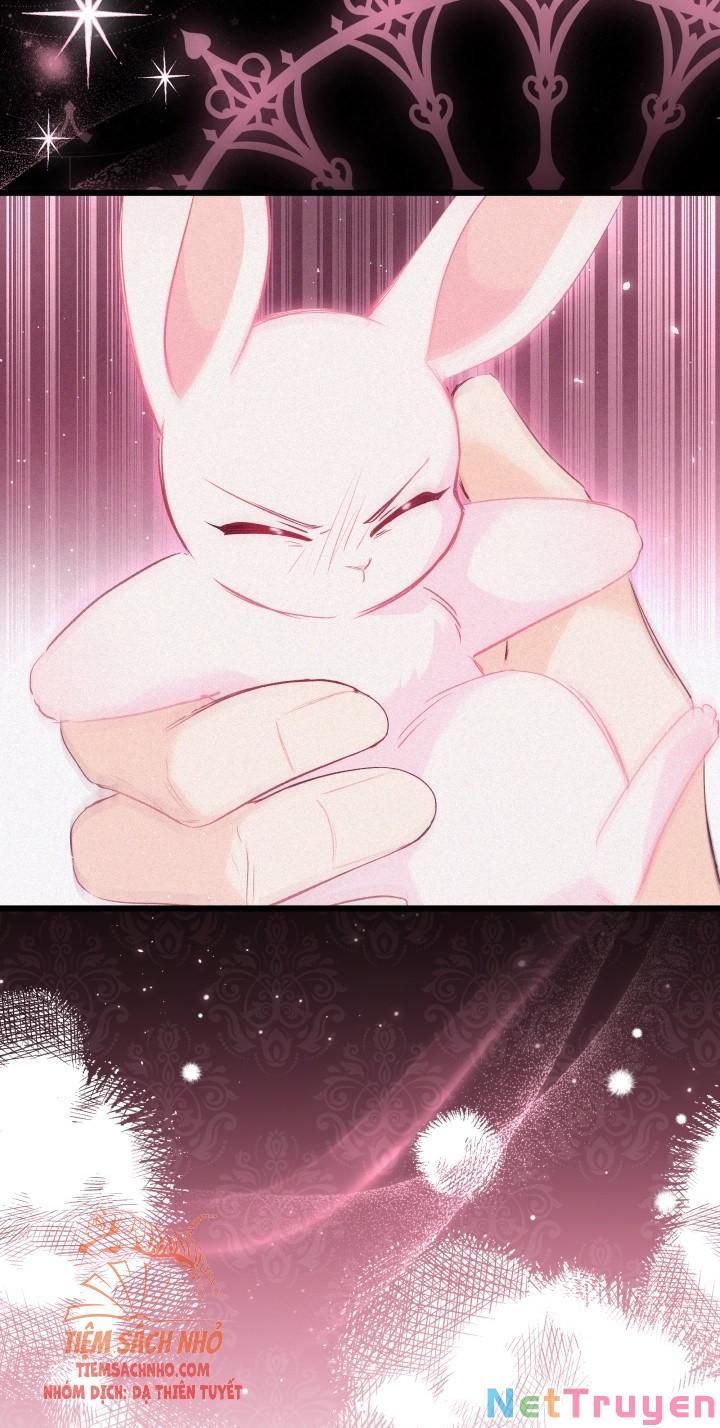 đọc truyện Mối Quan Hệ Cộng Sinh Giữa Báo Đen Và Thỏ Trắng Chương 49 ảnh 66 tại Thiên Thai Truyện