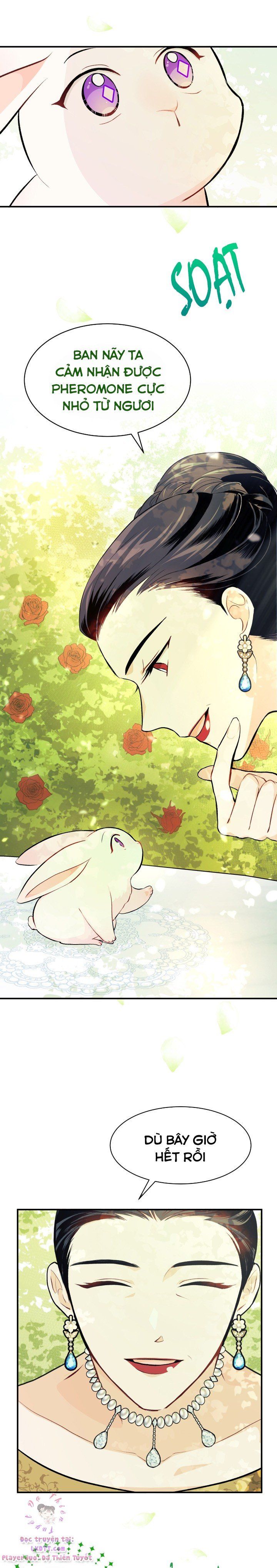 đọc truyện Mối Quan Hệ Cộng Sinh Giữa Báo Đen Và Thỏ Trắng Chương 5 ảnh 15 tại Thiên Thai Truyện