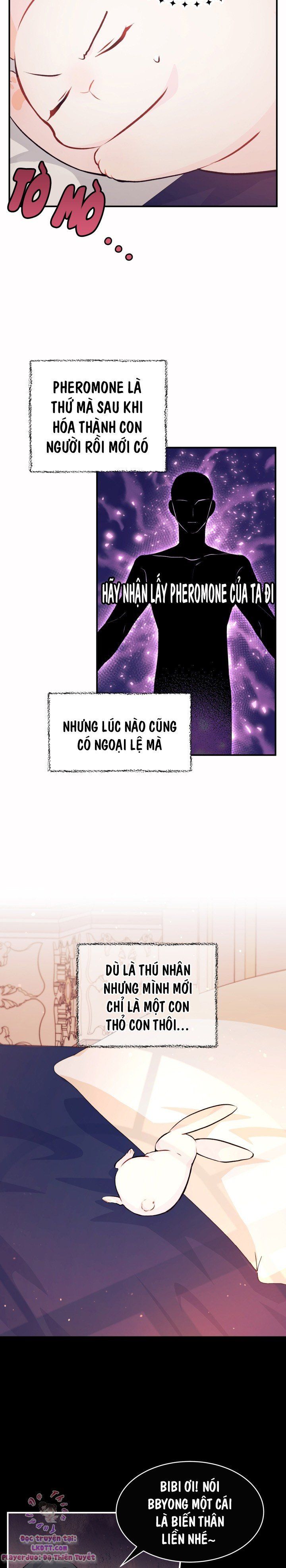 đọc truyện Mối Quan Hệ Cộng Sinh Giữa Báo Đen Và Thỏ Trắng Chương 5 ảnh 18 tại Thiên Thai Truyện