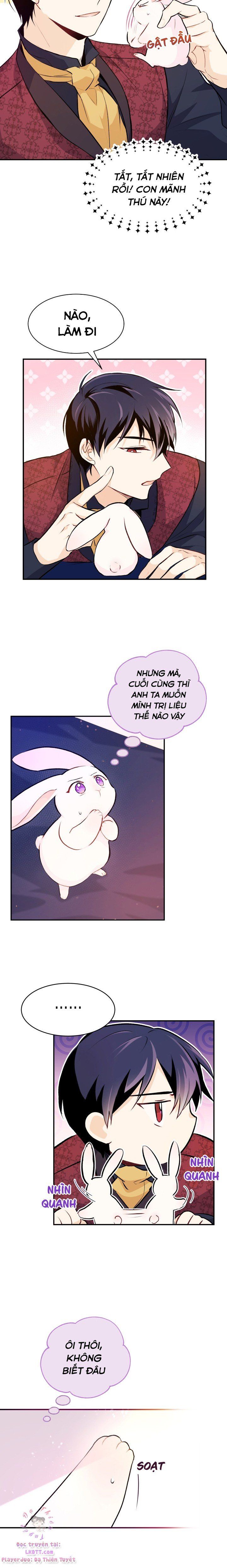 đọc truyện Mối Quan Hệ Cộng Sinh Giữa Báo Đen Và Thỏ Trắng Chương 5 ảnh 25 tại Thiên Thai Truyện