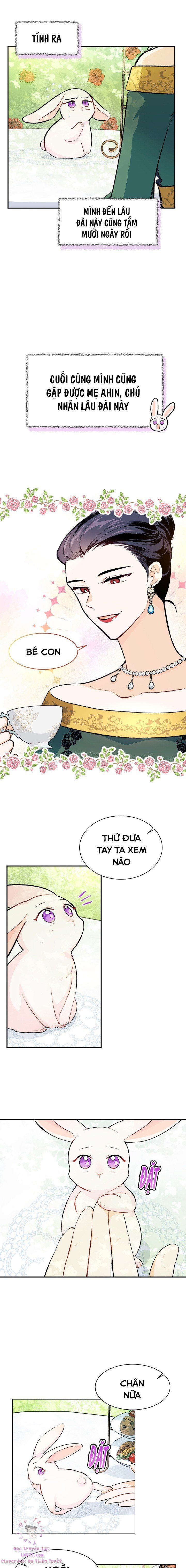 đọc truyện Mối Quan Hệ Cộng Sinh Giữa Báo Đen Và Thỏ Trắng Chương 5 ảnh 10 tại Thiên Thai Truyện