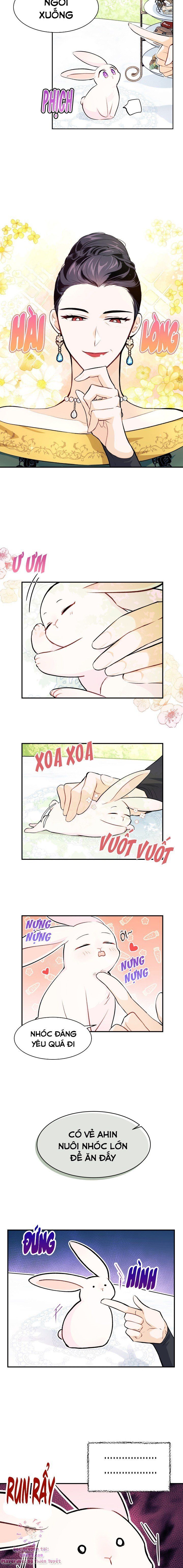 đọc truyện Mối Quan Hệ Cộng Sinh Giữa Báo Đen Và Thỏ Trắng Chương 5 ảnh 11 tại Thiên Thai Truyện