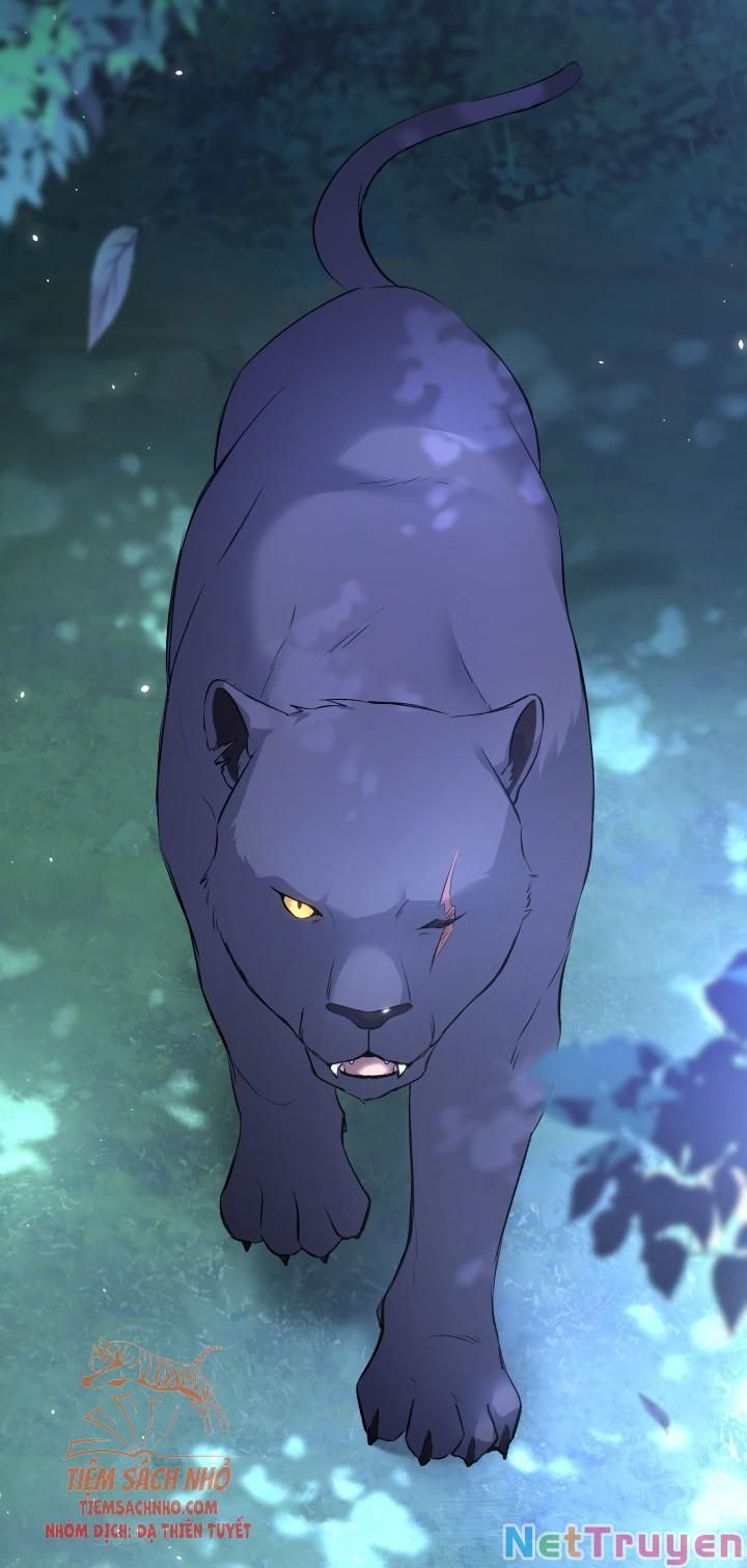 đọc truyện Mối Quan Hệ Cộng Sinh Giữa Báo Đen Và Thỏ Trắng Chương 50 ảnh 16 tại Thiên Thai Truyện