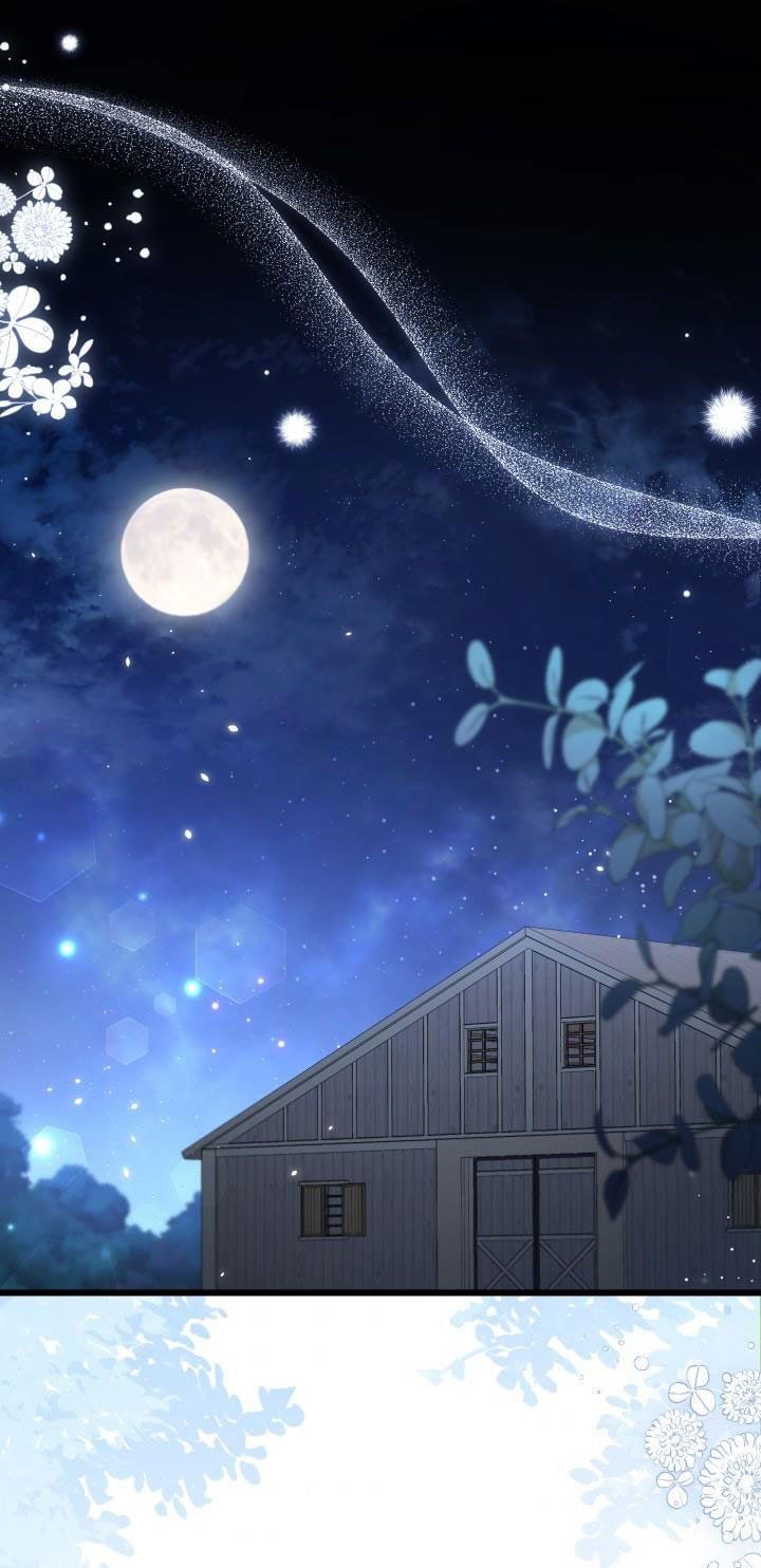 đọc truyện Mối Quan Hệ Cộng Sinh Giữa Báo Đen Và Thỏ Trắng Chương 51 ảnh 3 tại Thiên Thai Truyện