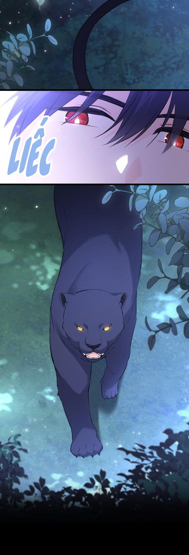 đọc truyện Mối Quan Hệ Cộng Sinh Giữa Báo Đen Và Thỏ Trắng Chương 51 ảnh 12 tại Thiên Thai Truyện