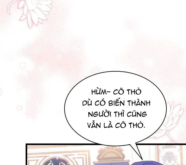 đọc truyện Mối Quan Hệ Cộng Sinh Giữa Báo Đen Và Thỏ Trắng Chương 51 ảnh 31 tại Thiên Thai Truyện