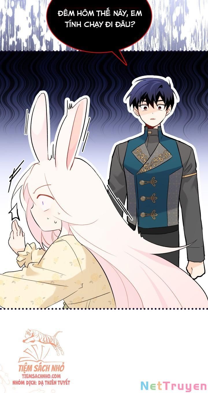 đọc truyện Mối Quan Hệ Cộng Sinh Giữa Báo Đen Và Thỏ Trắng Chương 52 ảnh 50 tại Thiên Thai Truyện