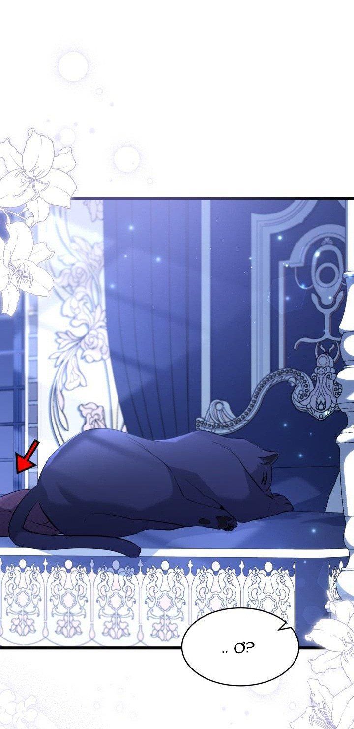 đọc truyện Mối Quan Hệ Cộng Sinh Giữa Báo Đen Và Thỏ Trắng Chương 54 ảnh 16 tại Thiên Thai Truyện