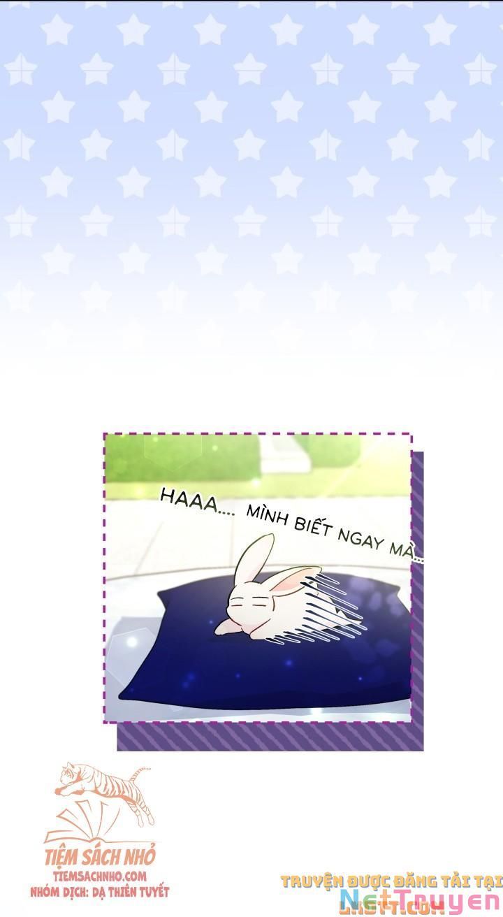 đọc truyện Mối Quan Hệ Cộng Sinh Giữa Báo Đen Và Thỏ Trắng Chương 56 ảnh 33 tại Thiên Thai Truyện