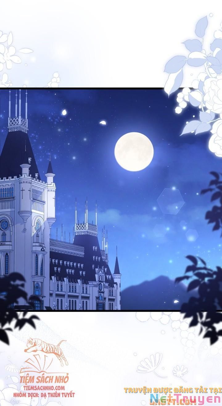 đọc truyện Mối Quan Hệ Cộng Sinh Giữa Báo Đen Và Thỏ Trắng Chương 56 ảnh 34 tại Thiên Thai Truyện