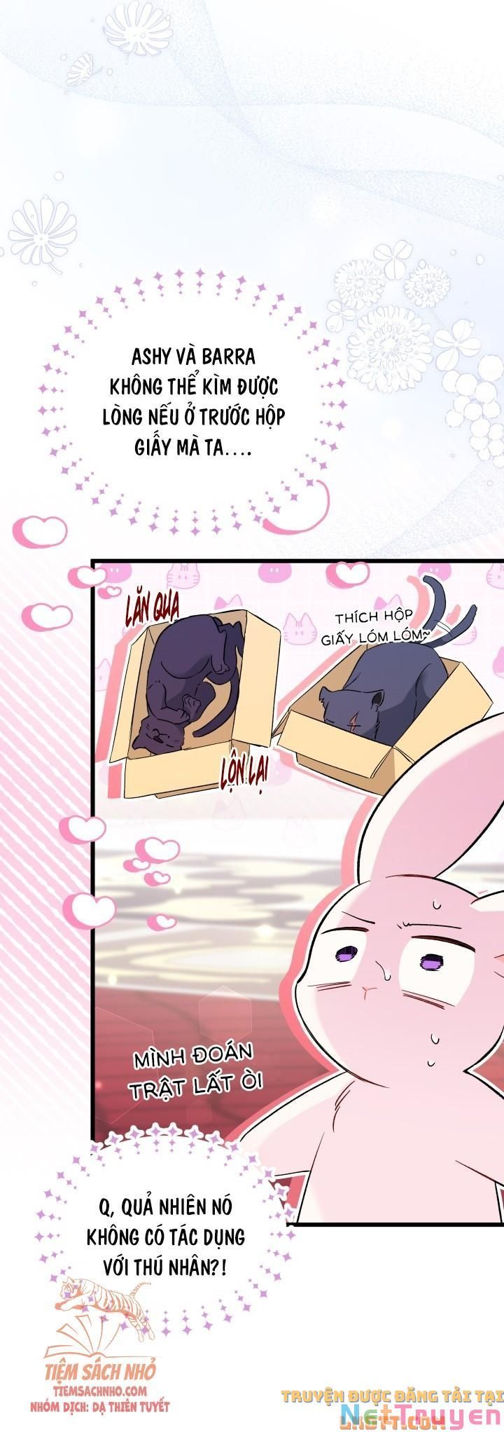 đọc truyện Mối Quan Hệ Cộng Sinh Giữa Báo Đen Và Thỏ Trắng Chương 56 ảnh 37 tại Thiên Thai Truyện