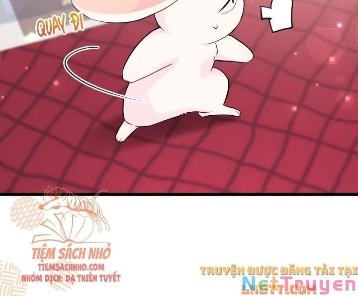 đọc truyện Mối Quan Hệ Cộng Sinh Giữa Báo Đen Và Thỏ Trắng Chương 56 ảnh 41 tại Thiên Thai Truyện