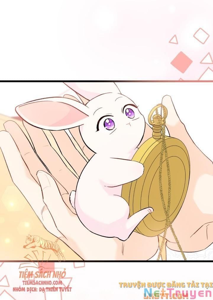 đọc truyện Mối Quan Hệ Cộng Sinh Giữa Báo Đen Và Thỏ Trắng Chương 56 ảnh 59 tại Thiên Thai Truyện