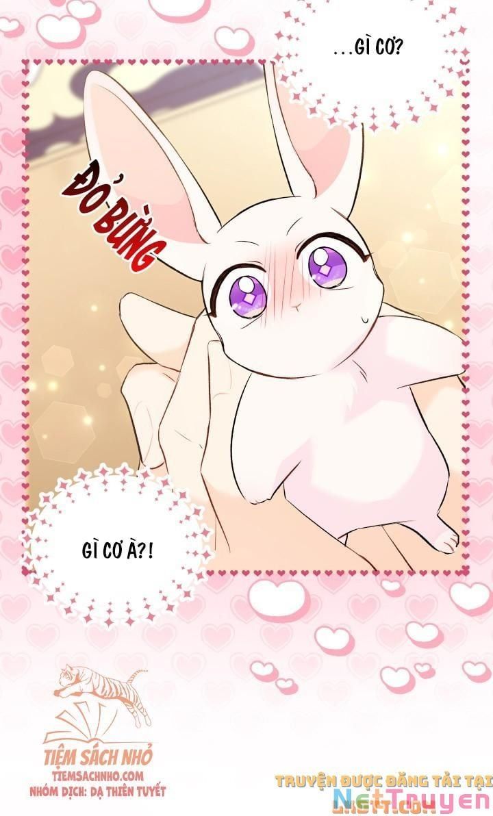 đọc truyện Mối Quan Hệ Cộng Sinh Giữa Báo Đen Và Thỏ Trắng Chương 56 ảnh 74 tại Thiên Thai Truyện