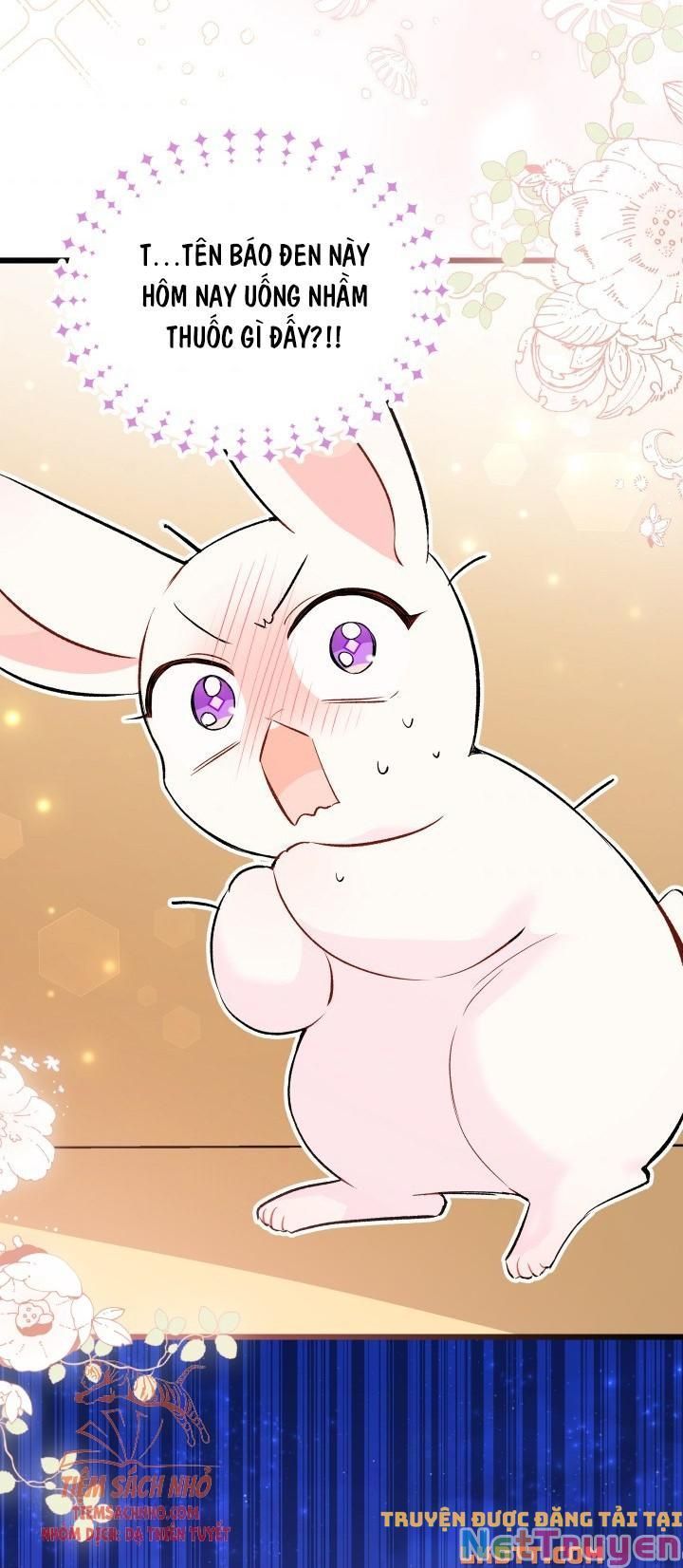 đọc truyện Mối Quan Hệ Cộng Sinh Giữa Báo Đen Và Thỏ Trắng Chương 56 ảnh 83 tại Thiên Thai Truyện