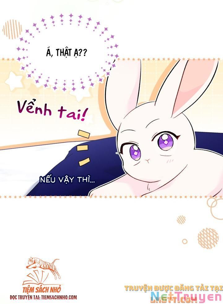 đọc truyện Mối Quan Hệ Cộng Sinh Giữa Báo Đen Và Thỏ Trắng Chương 58 ảnh 23 tại Thiên Thai Truyện