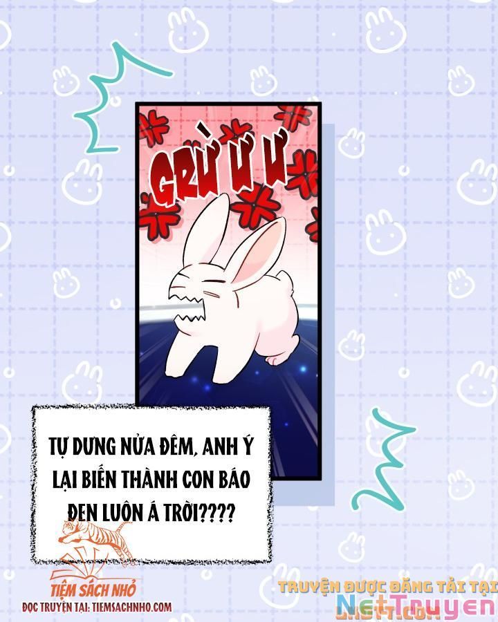 đọc truyện Mối Quan Hệ Cộng Sinh Giữa Báo Đen Và Thỏ Trắng Chương 58 ảnh 26 tại Thiên Thai Truyện