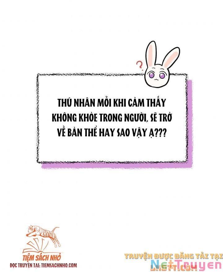 đọc truyện Mối Quan Hệ Cộng Sinh Giữa Báo Đen Và Thỏ Trắng Chương 58 ảnh 28 tại Thiên Thai Truyện