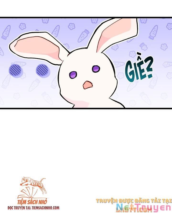 đọc truyện Mối Quan Hệ Cộng Sinh Giữa Báo Đen Và Thỏ Trắng Chương 58 ảnh 30 tại Thiên Thai Truyện