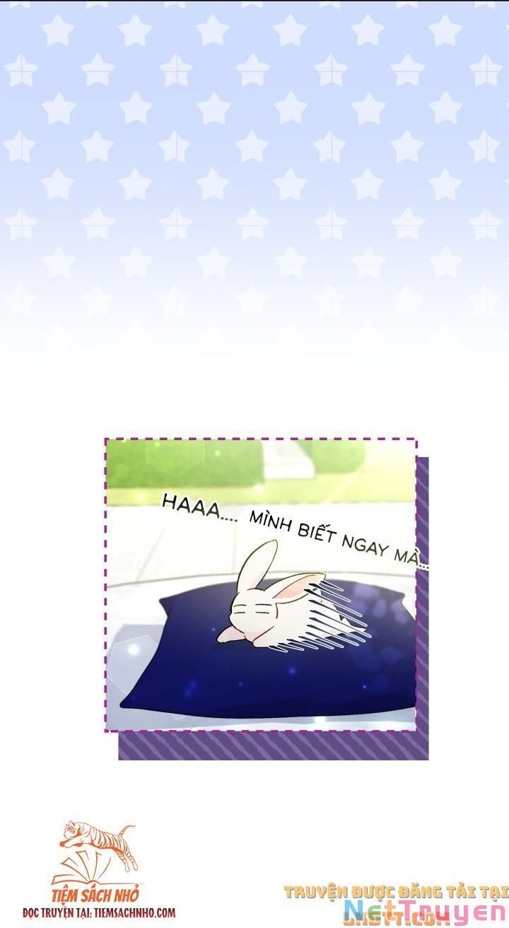 đọc truyện Mối Quan Hệ Cộng Sinh Giữa Báo Đen Và Thỏ Trắng Chương 58 ảnh 33 tại Thiên Thai Truyện