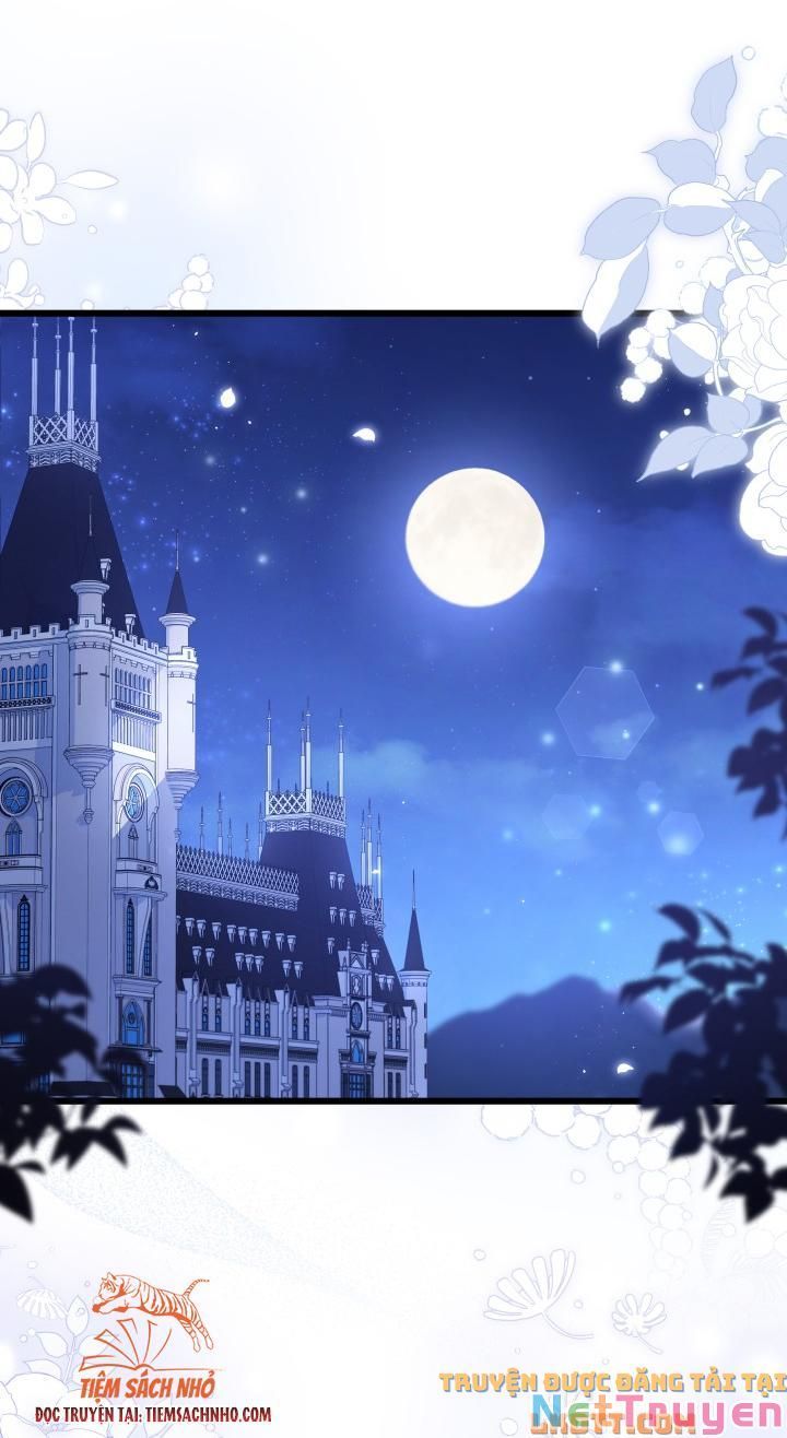 đọc truyện Mối Quan Hệ Cộng Sinh Giữa Báo Đen Và Thỏ Trắng Chương 58 ảnh 34 tại Thiên Thai Truyện